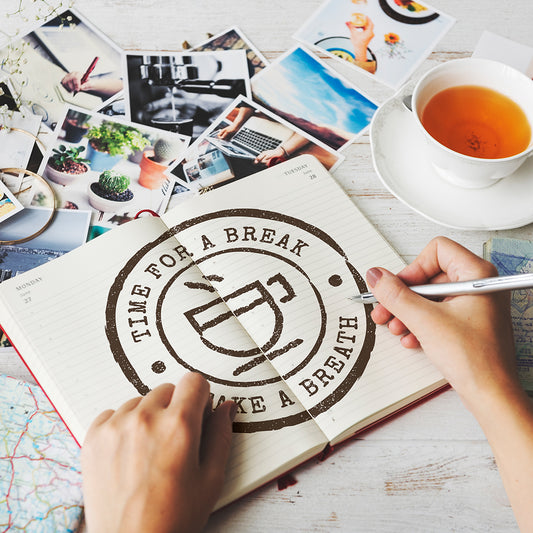 Logo & Brand Sketches